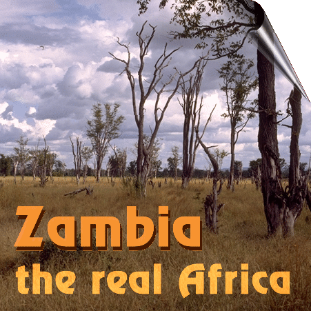 The Luangwa Valley