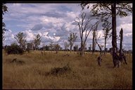 South Luangwa Valley